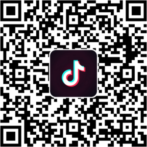 抖音小程序